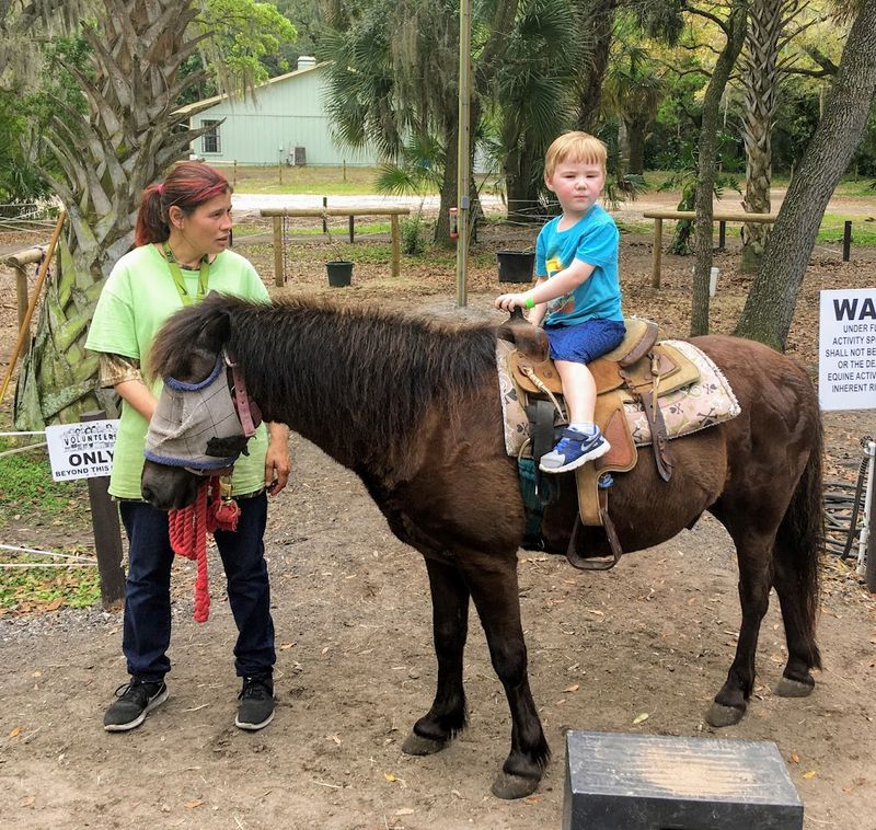 Pony Rides and Horseback Riding for All Ages