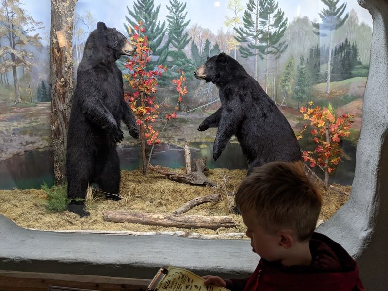 The Great Lakes Interactive Display and Small Theater