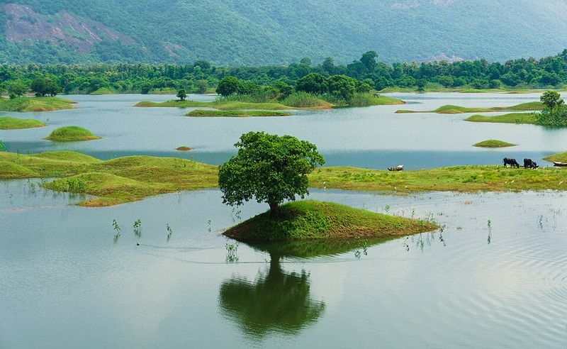 There are more trees on Earth than stars in the Milky Way