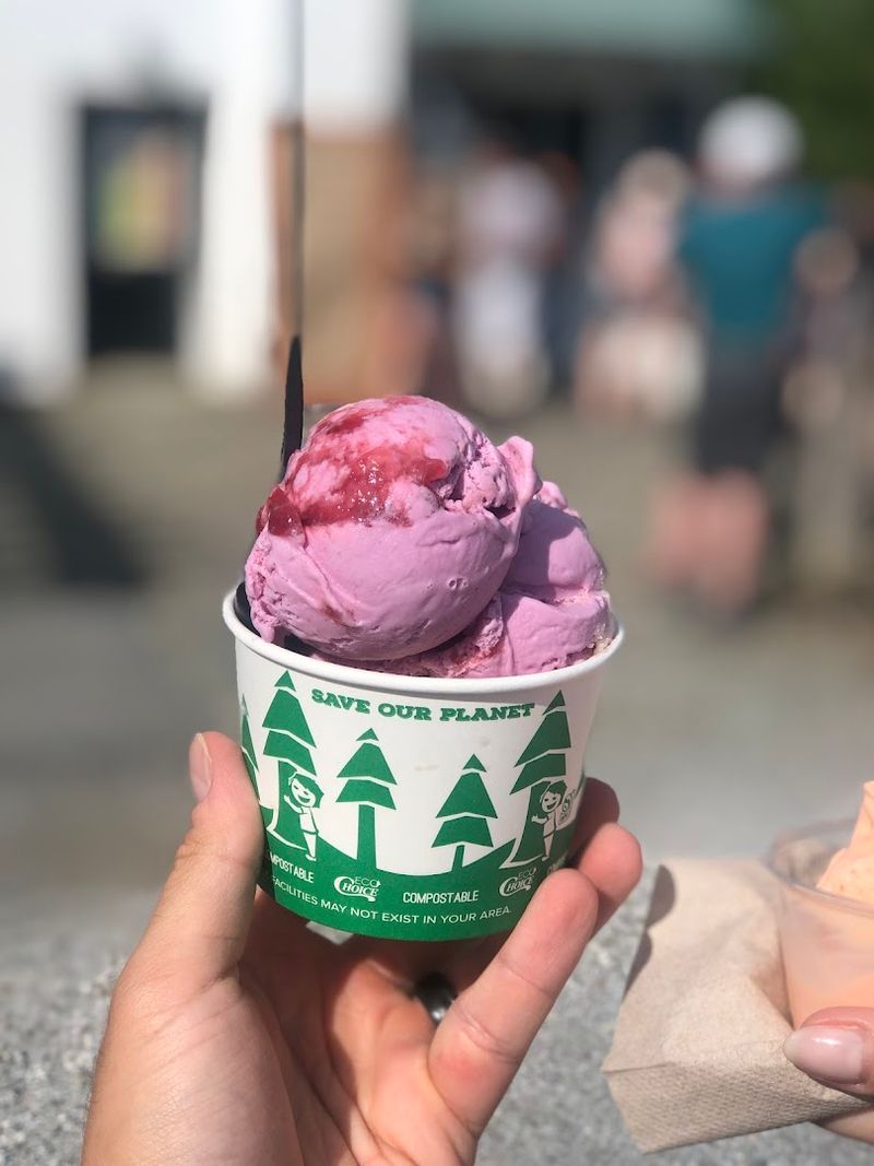 Handcrafted Ice Cream With Flavors Nobody Else Is Doing