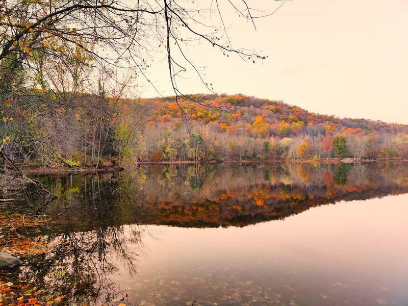 Vista Loop / Cactus Ledge Area, Ramapo Valley County Reservation (Mahwah)