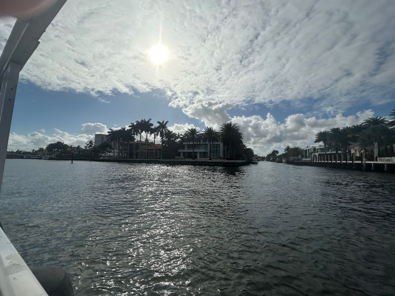 Wildlife Along the Water