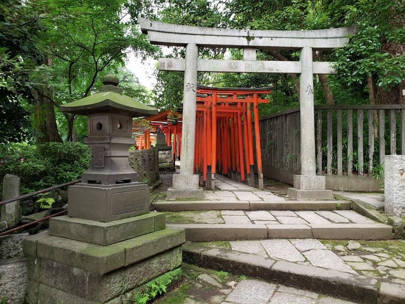 Nezu-jinja Shrine: The Torii Tunnel Without the Crowds