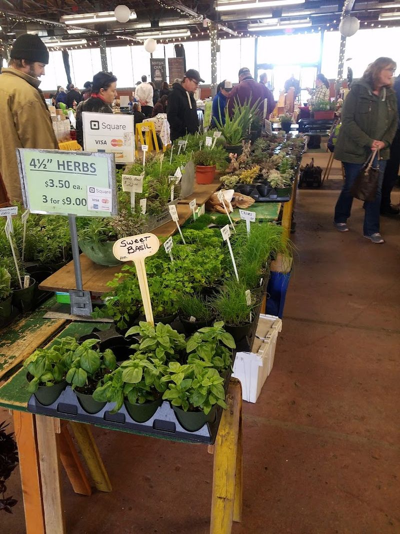 Plants, Flowers, and Garden Finds