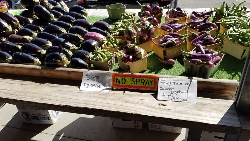 Parking Tips and Practical Visitor Advice