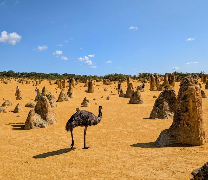 The Pinnacles — Australia