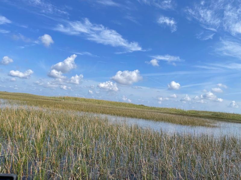 Everglades National Park (Florida)