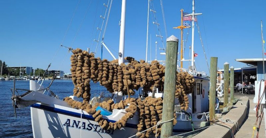 You Don’t Need a Passport to Visit This Greek Town Near Tampa