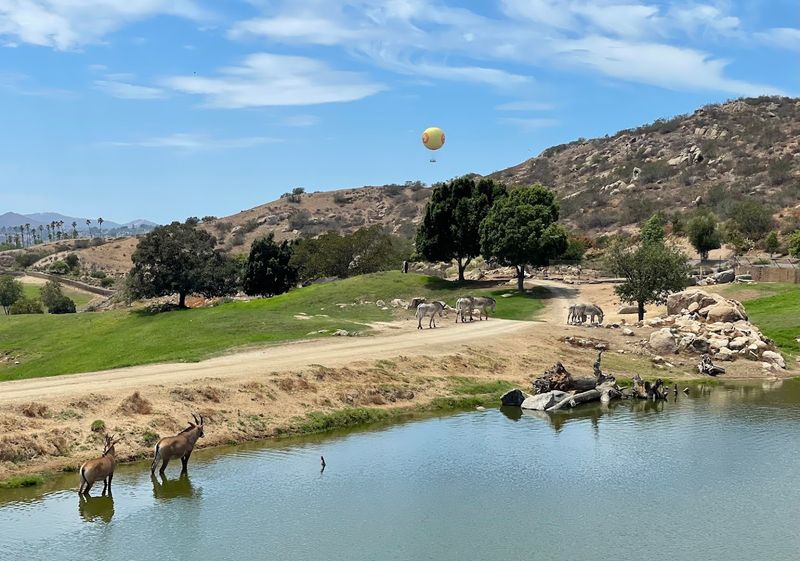 San Diego Zoo Safari Park - California, USA