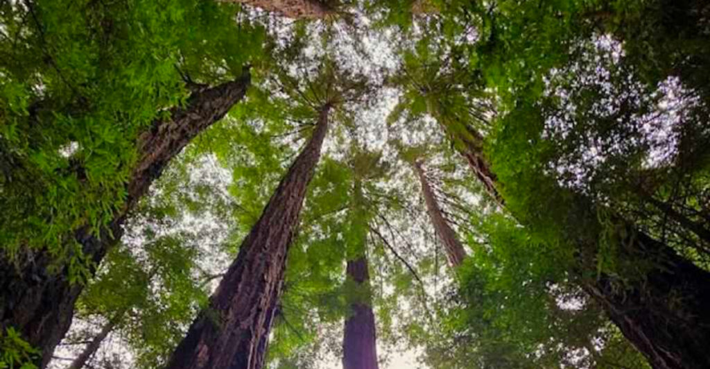10 Amazing State Parks That Deserve Your Attention