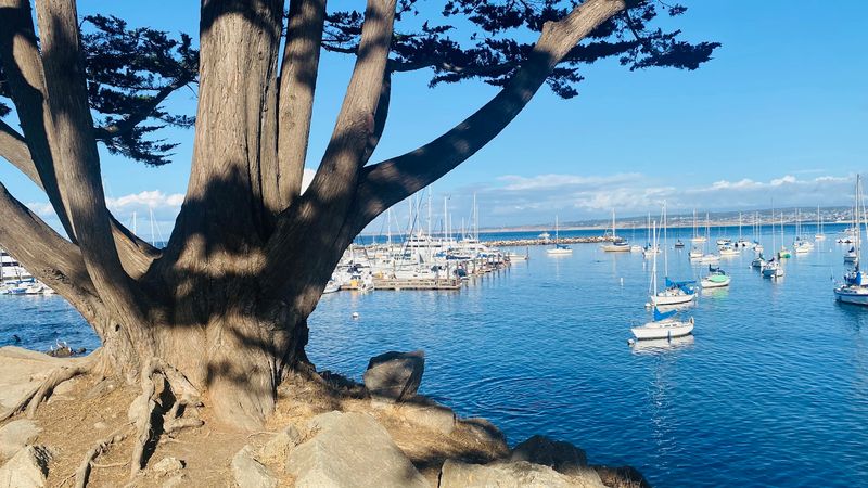Monterey Bay, California