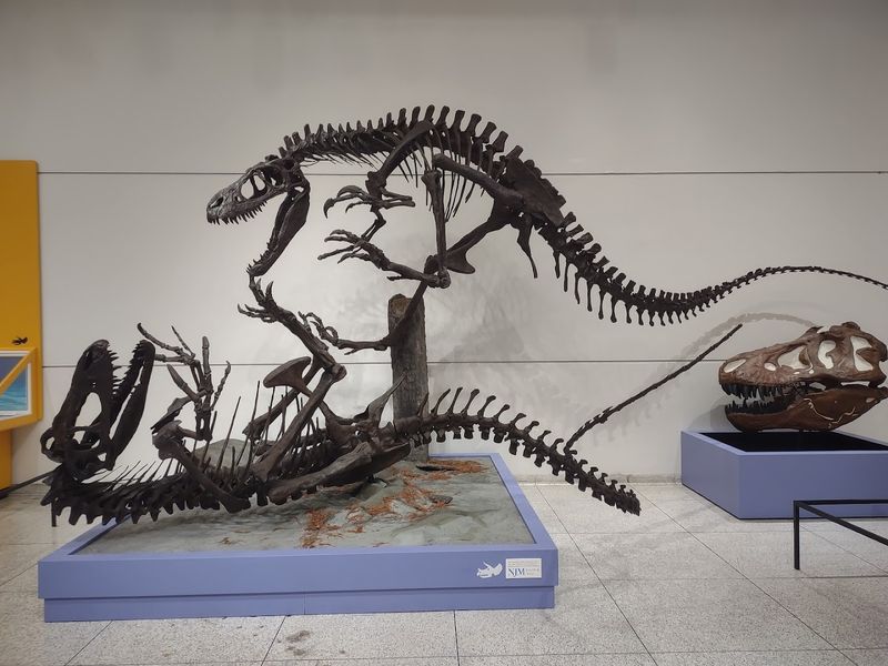 Explore the New Jersey State Museum and Stay for a Planetarium Show