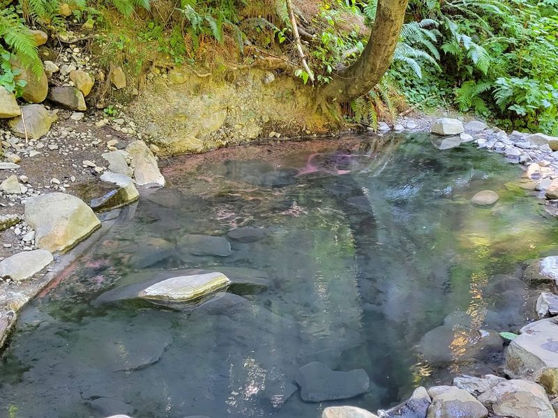 Olympic Hot Springs - Olympic National Park