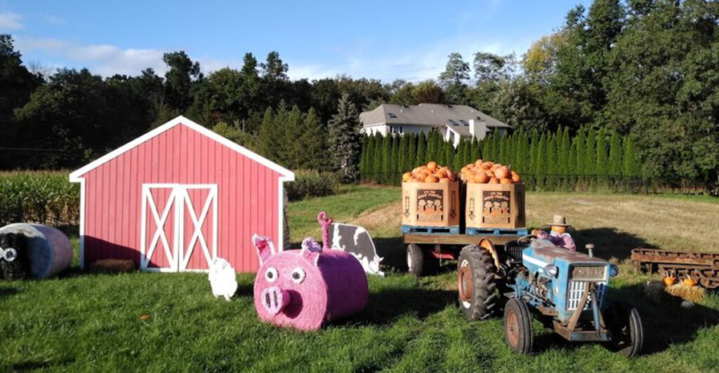 11 Top-Rated Farms in New Jersey That Visitors Say Are Worth the Trip