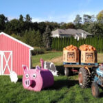 11 Top-Rated Farms in New Jersey That Visitors Say Are Worth the Trip