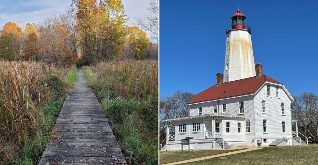 12 Beautiful New Jersey Nature Spots Every Outdoor Lover Should Visit
