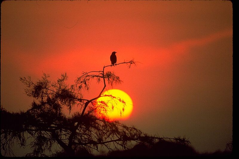 Everglades National Park