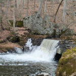 12 Hidden New Jersey Trails Worth Visiting This Spring