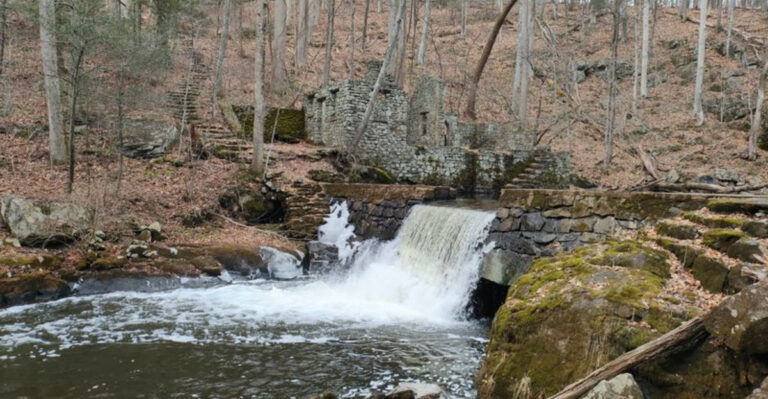 12 Hidden New Jersey Trails Worth Visiting This Spring