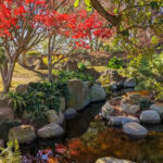 12 Hidden U.S. Gardens Made for the Perfect Picnic