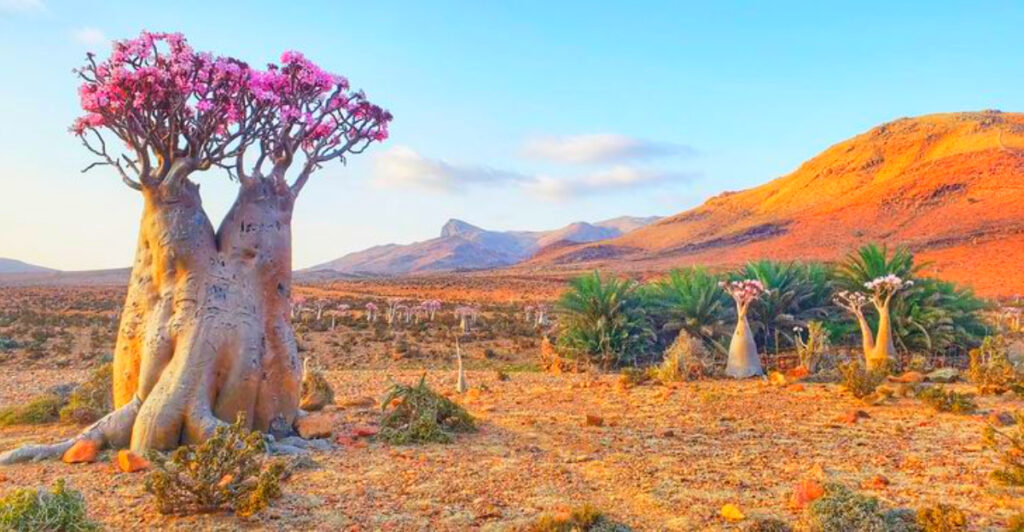 12 Odd Natural Wonders That Scientists Still Study