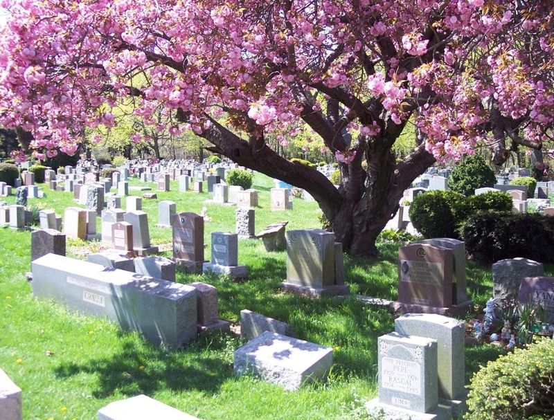 Bide‑A‑Wee Pet Memorial Park – New York, USA
