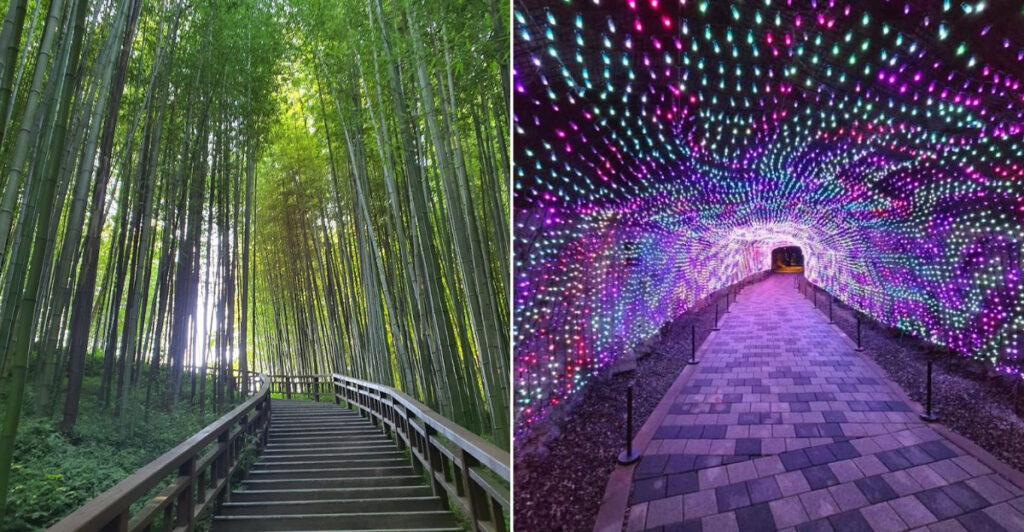 12 Under-the-Radar Places in South Korea That Totally Exceed Expectations