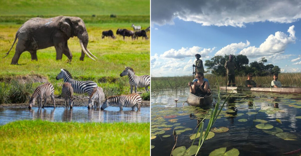 13 Best Things to Do in Africa That Show More Than the Usual Travel Picture