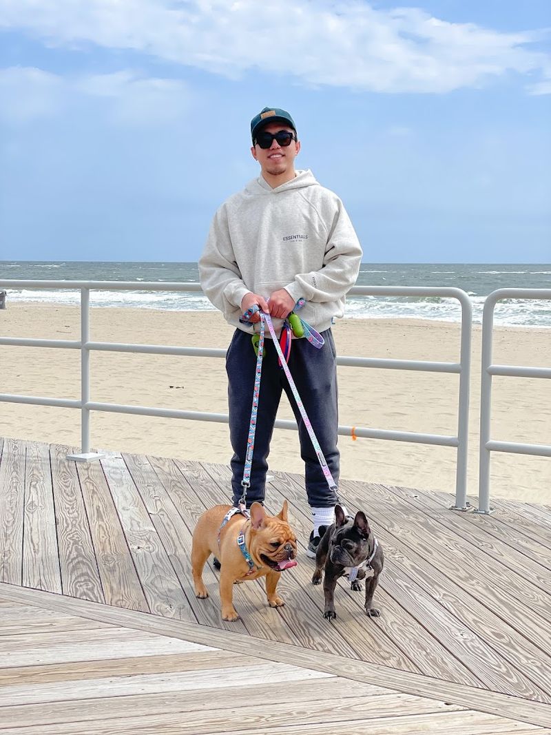 Asbury Park Dog Beach, Asbury Park, NJ