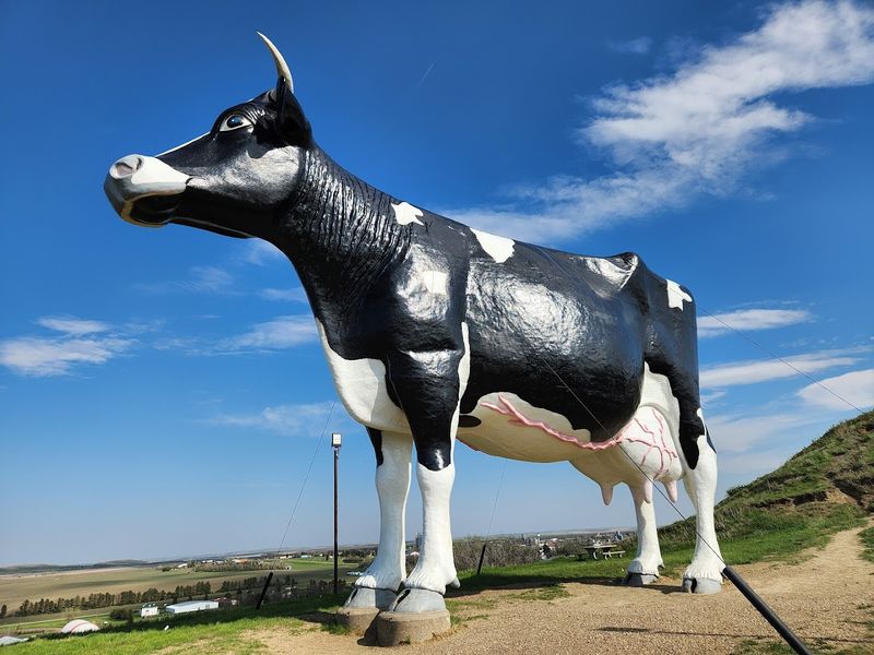 Salem Sue — New Salem