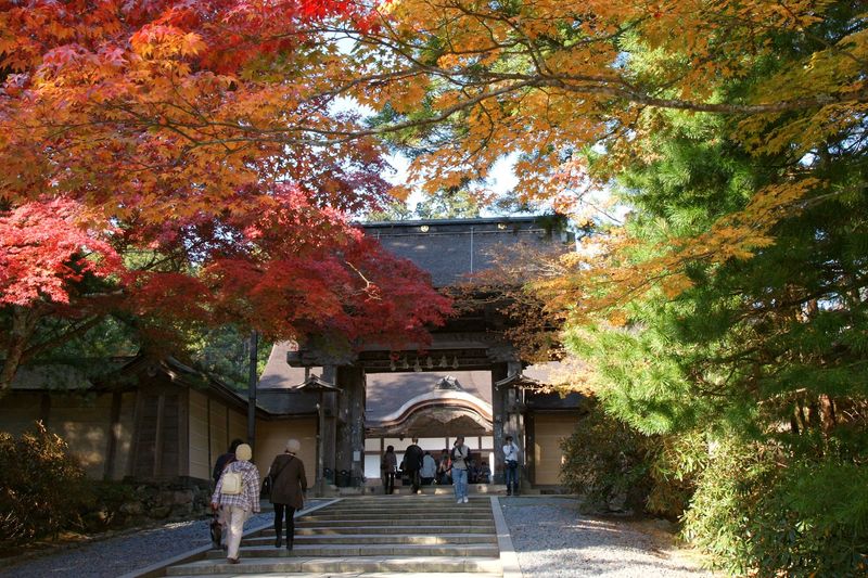Sleep in a Temple on Mount Koya