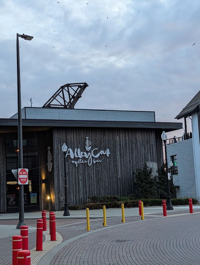 Alley Cat Oyster Bar - Cleveland