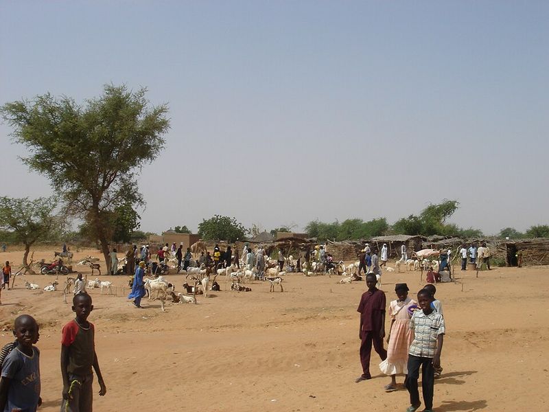 Niger – Average Age of First Marriage: ~17.5