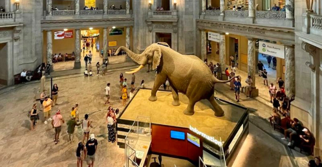 15 Free Museums in America That Offer World-Class Exhibits