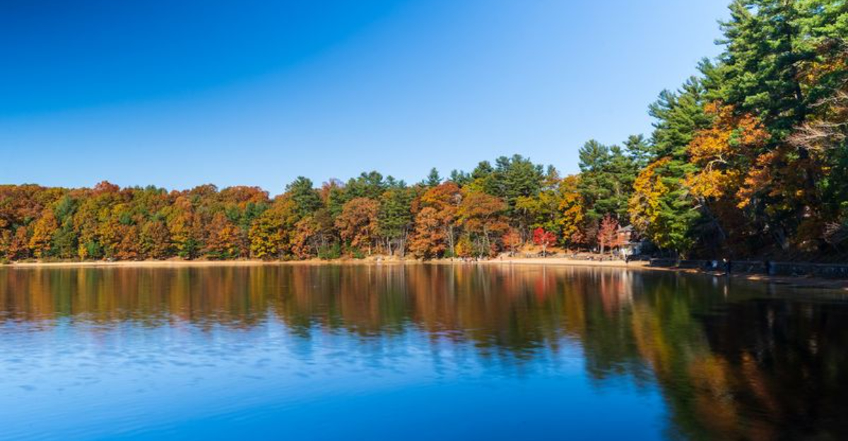 15 Massachusetts State Parks That Pair Scenic Views With Great Food