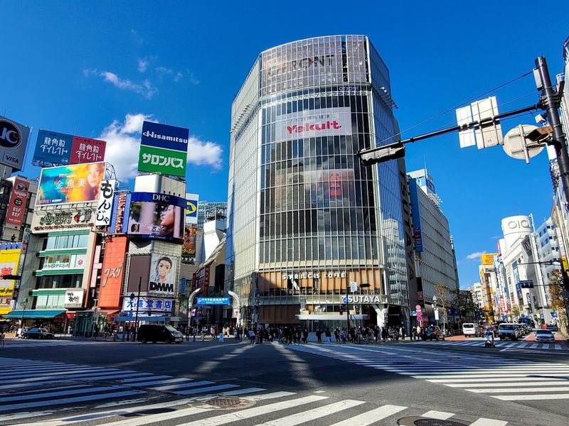 Shibuya Crossing (Tokyo)