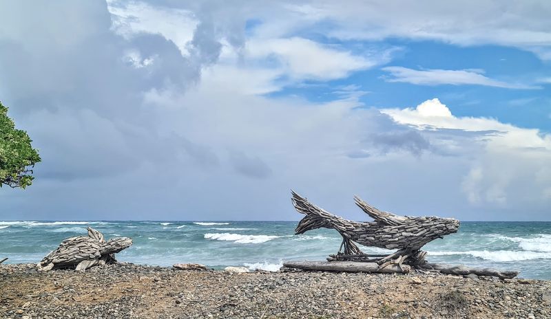 Incredible Variety of Landscapes