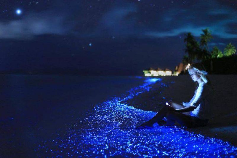 Vaadhoo Island – Maldives (Glowing Blue 