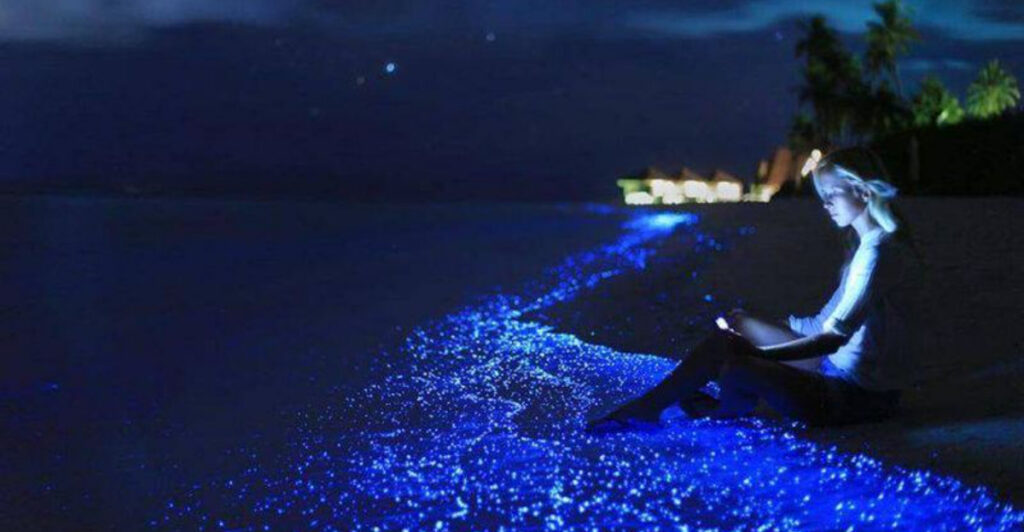 15 Stunning Beaches With the Most Unique Water Colors on Earth