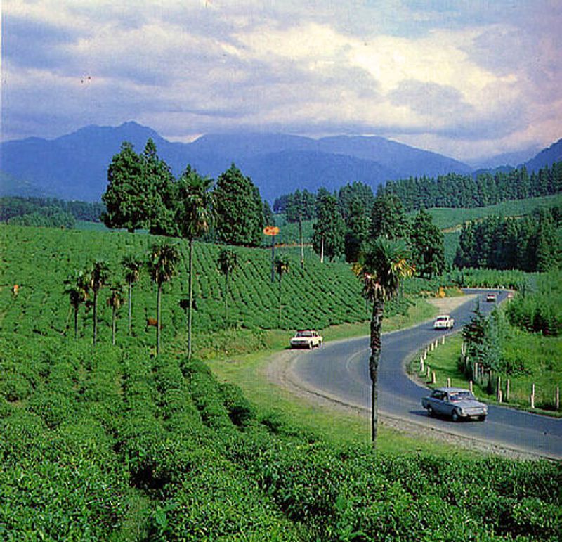 Carried Fold-Out Maps That Never Refolded Right