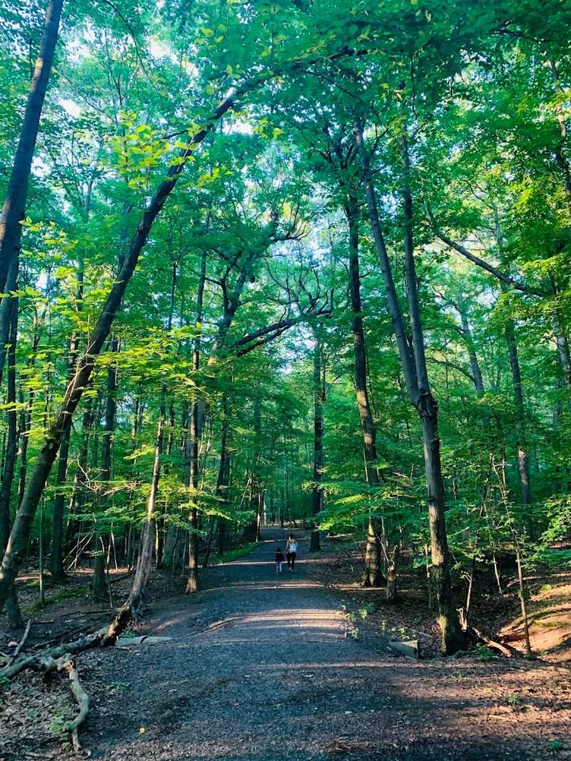 Trail Options for Every Kind of Walker
