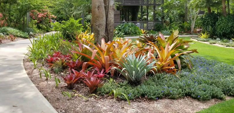 The Brazilian Garden: Color, Curves, and Tropical Drama