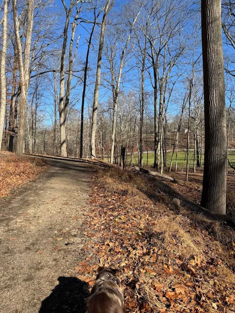 Trail Options for Every Kind of Walker