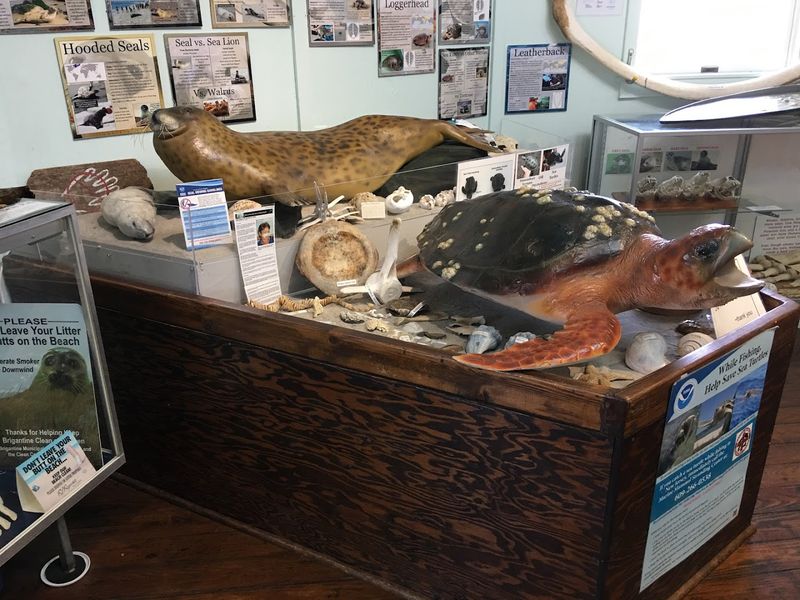 The Museum That Packs a Serious Punch in a Small Space