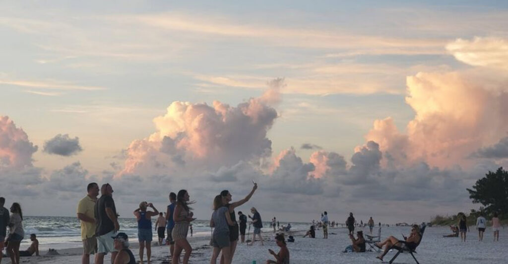 8 Fun Things to Do in Indian Rocks Beach for a Perfect Coastal Day