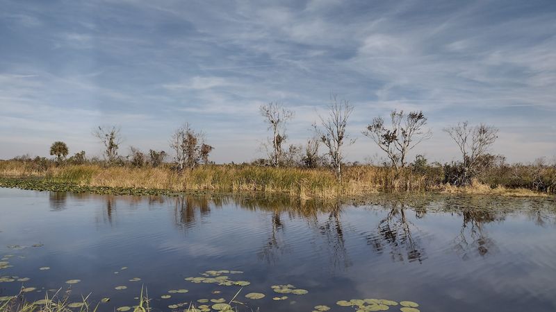 Lake Apopka Loop Trail (Central Florida)