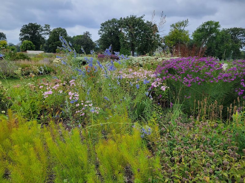 160-Plus Plant Varieties Packed Into 2.5 Acres
