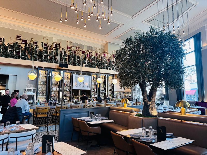 What the Vault Walls Actually Look Like Inside