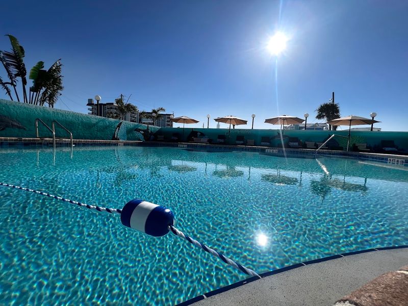 Forty-Seven Years of Nonstop Beach Culture