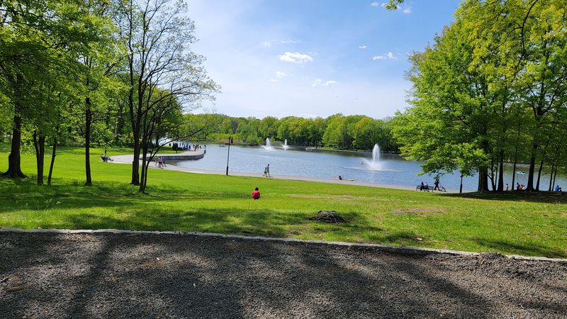 Close To Braddock Park